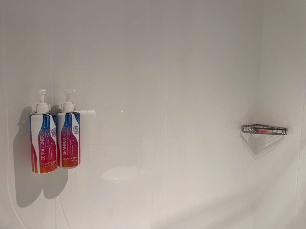 Shampoo e condicionador disponíveis no chuveiro
