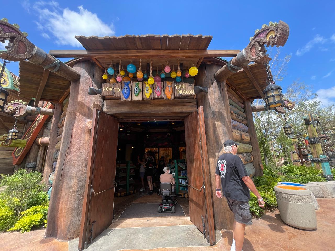 Loja How to treat your dragon