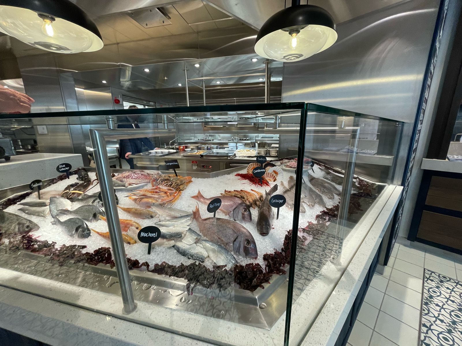 Peixes do Paxos Peixes do Paxos