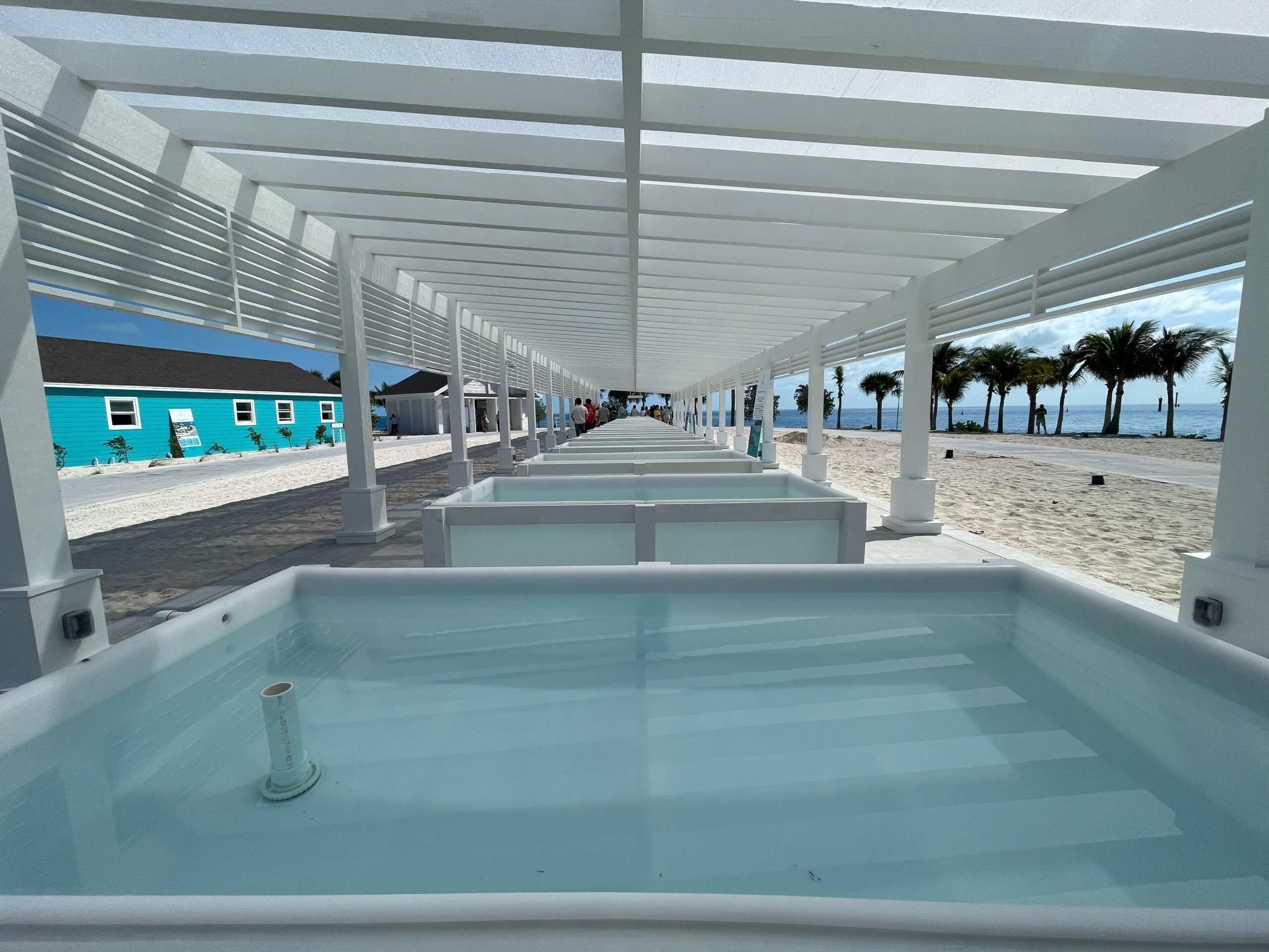 O The Aquaria, viveiro terrestre com 22 tanques de corais que integram o Super Coral Reefs Programme