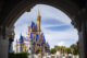 Walt Disney World anuncia planos especiais para as férias, incluindo refeições gratuitas para crianças; confira
