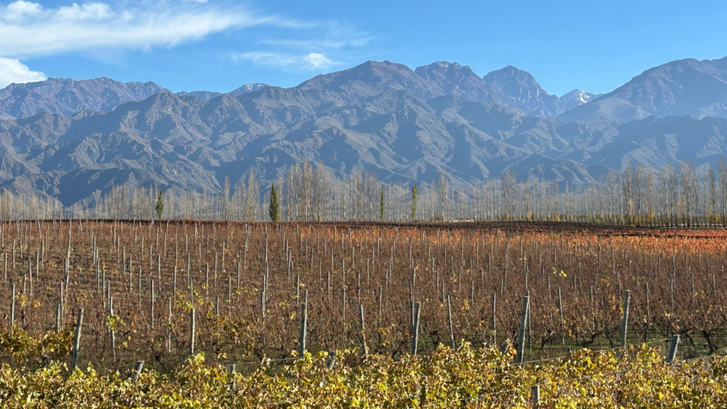 Casa de Uco, onde cada vinho reflete a pureza do terroir e a beleza dos Andes ao fundo