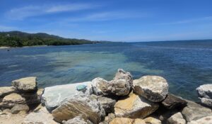 Conheça Roatan Island, destino alternativo no itinerário da MSC nas Honduras; veja fotos