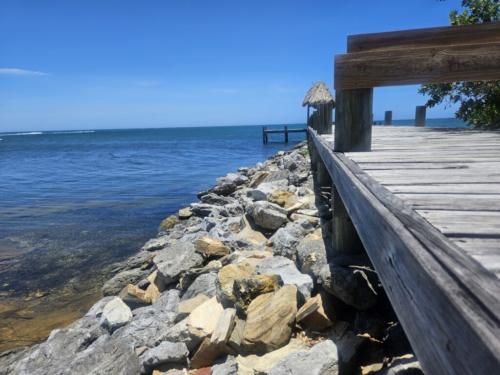 É comum encontrar peixes, tartarugas marinhas e golfinhos nas águas ao redor da praia