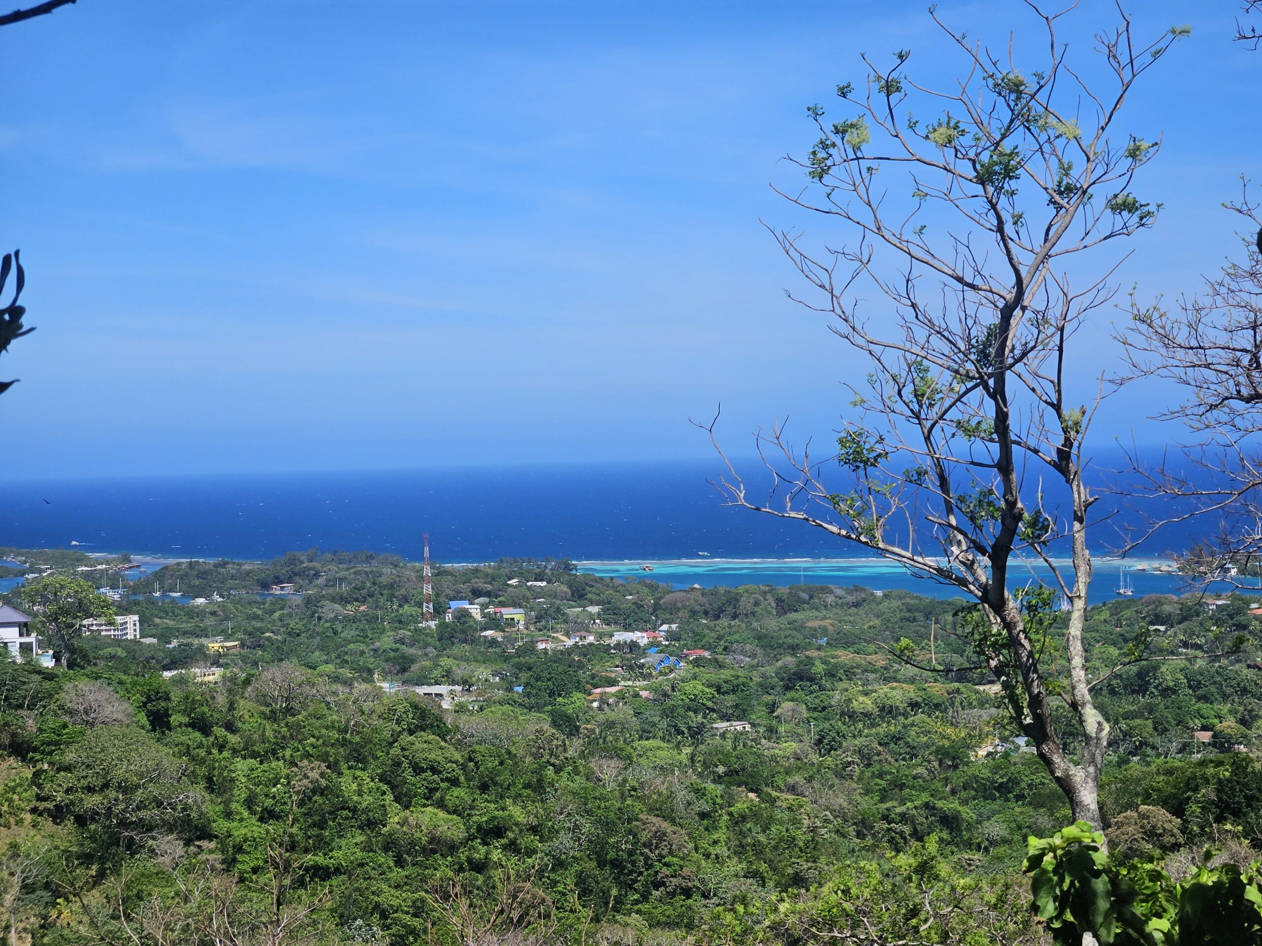 Roatan Island vista de Pristine Bay Roatan Island vista de Pristine Bay