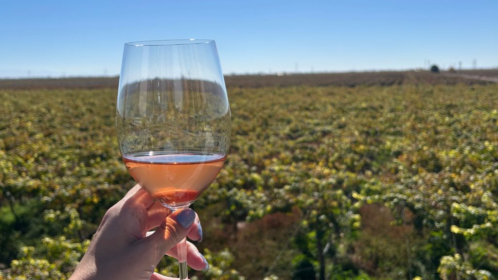 Bodega Finca Agostinho: charme, vinhos de excelência e uma hospedagem aconchegante em meio aos vinhedos de Mendoza