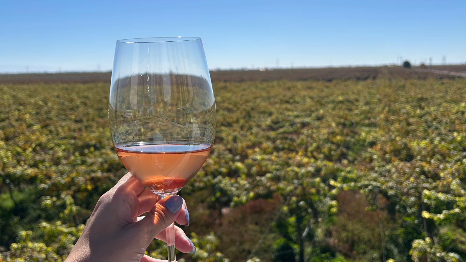 Bodega Finca Agostinho: charme, vinhos de excelência e uma hospedagem aconchegante em meio aos vinhedos de Mendoza