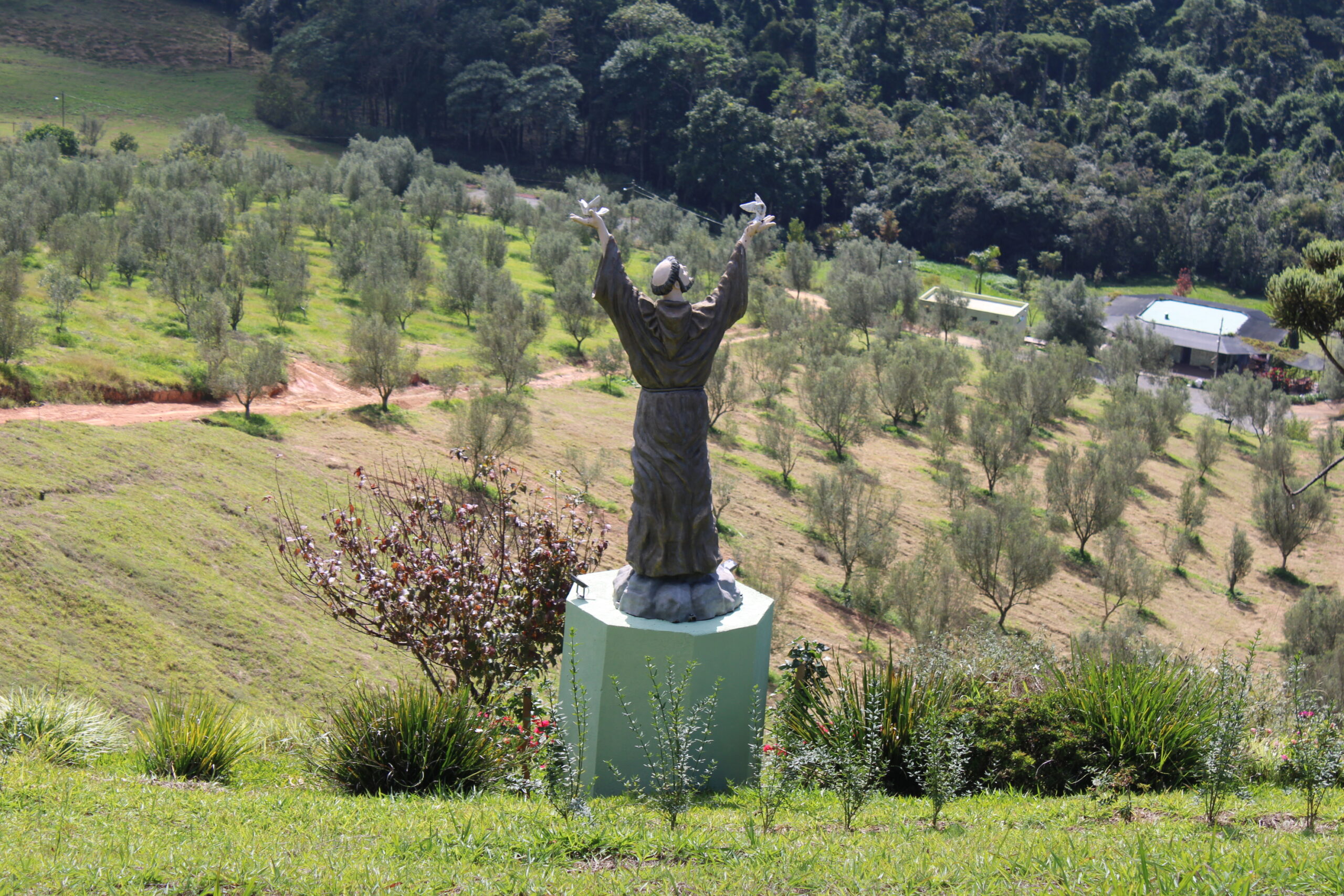 Maria da Fé desperta para o turismo com o frio e olivicultura no alto da Mantiqueira 3 A bencao de Sao Francisco na Fazenda Santa Helena scaled Maria da Fé desperta para o turismo com o frio e olivicultura no alto da Mantiqueira