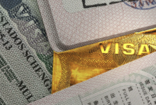 Elon Musk revela testes discretos do “Gold Card”, novo visto milionário dos EUA