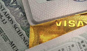 Elon Musk revela testes discretos do “Gold Card”, novo visto milionário dos EUA