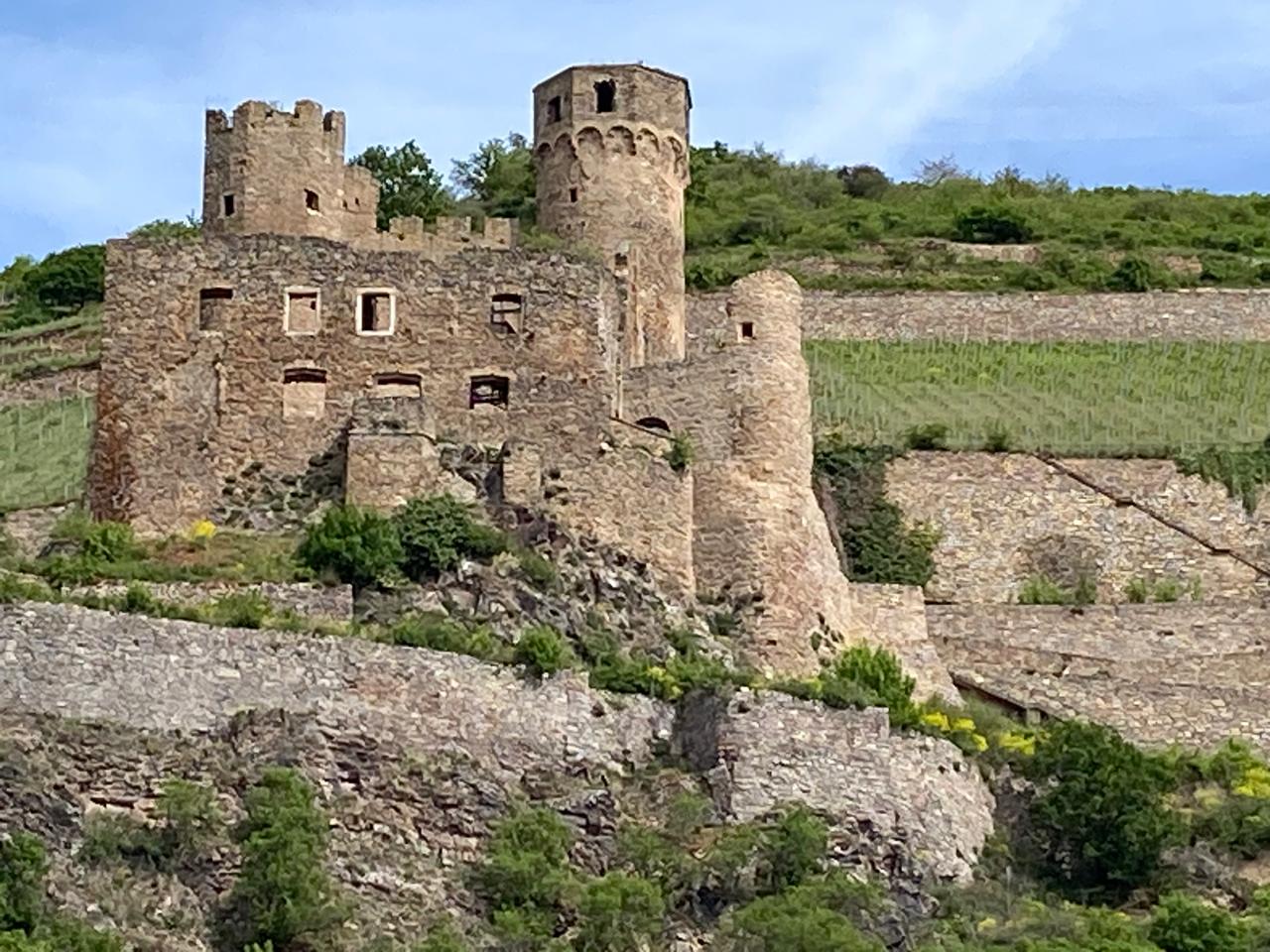 Castelos, vinhedos e vilarejos pitorescos compõem a vista ao longo do Reno Castelos, vinhedos e vilarejos pitorescos compõem a vista ao longo do Reno