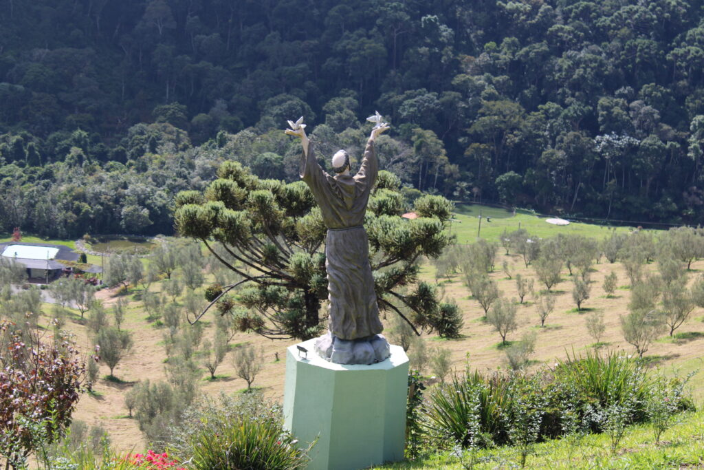 Do alto do mirante São Francisco uma panorâmica dos olivares da Santa Helena