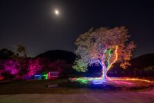 Lumni Experience inicia venda antecipada de ingressos com desconto para estreia em junho em Gramado