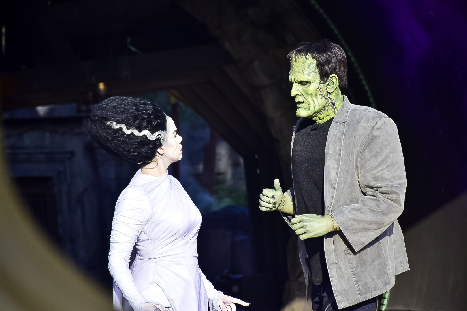 Frankenstein e sua noiva Frankenstein e sua noiva