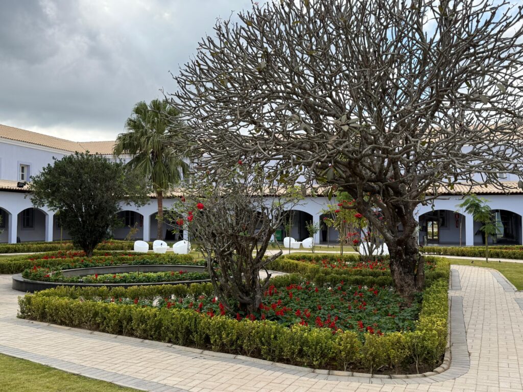 Jardim