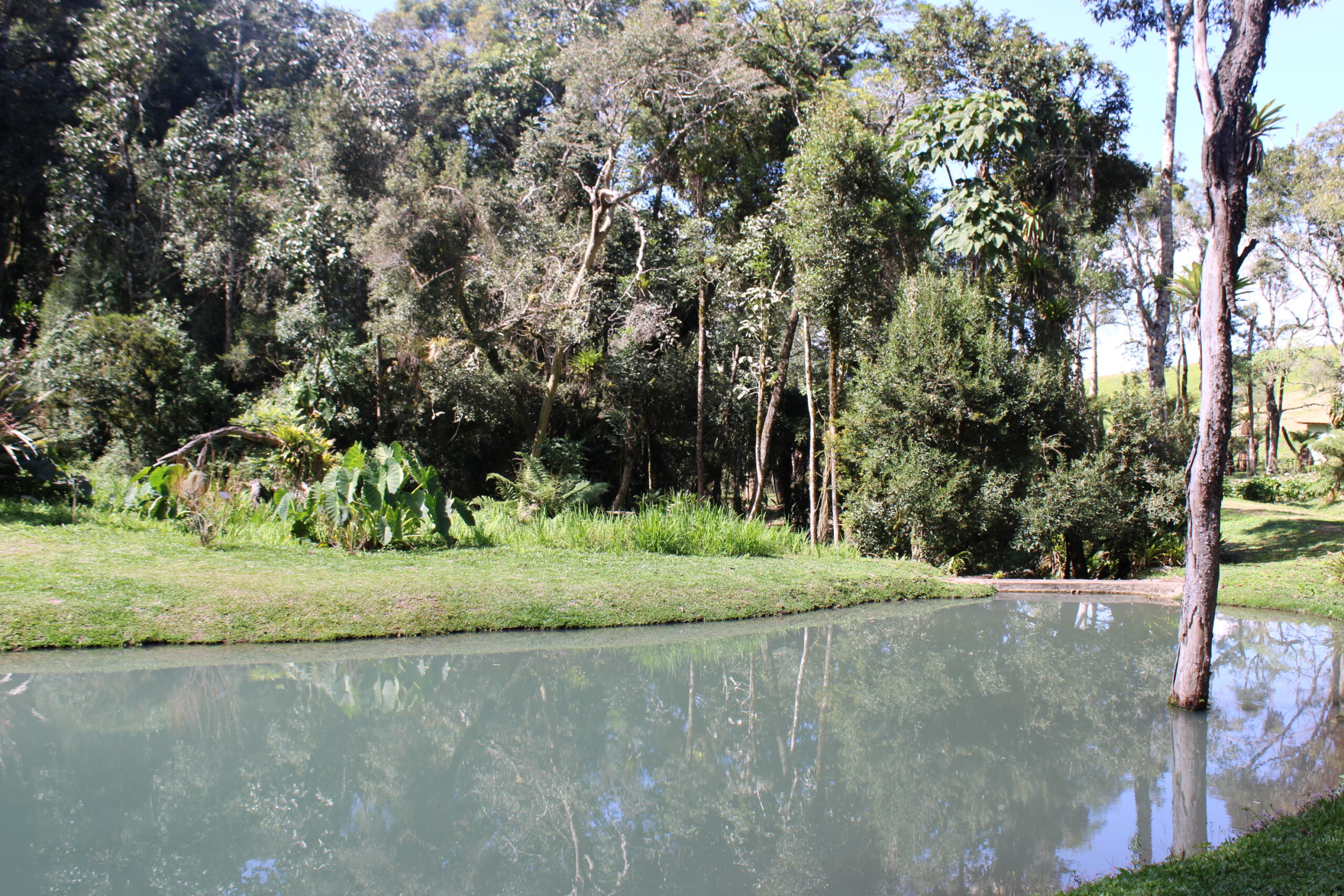 Nascentes naturais preservadas na Santa Helena Nascentes naturais preservadas na Santa Helena