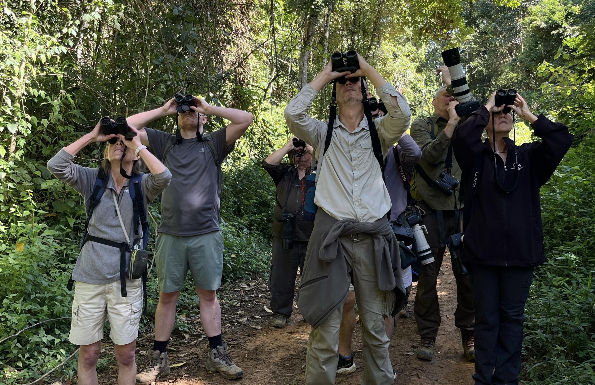 Potencial da Bahia para o turismo de observacao de aves atrai operadores de viagens internacionais Foto Tiago Queiroz Ascom SeturBA Com biodiversidade única, Bahia se destaca como destino global para birdwatching