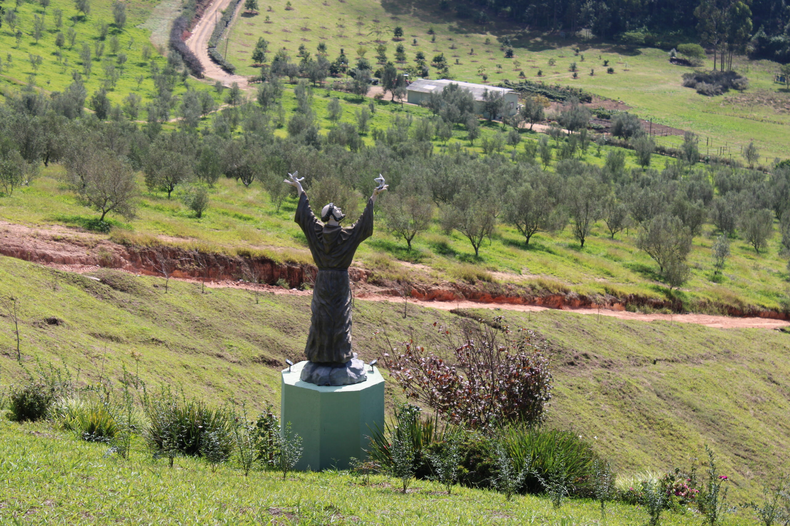 São Francisco São Francisco