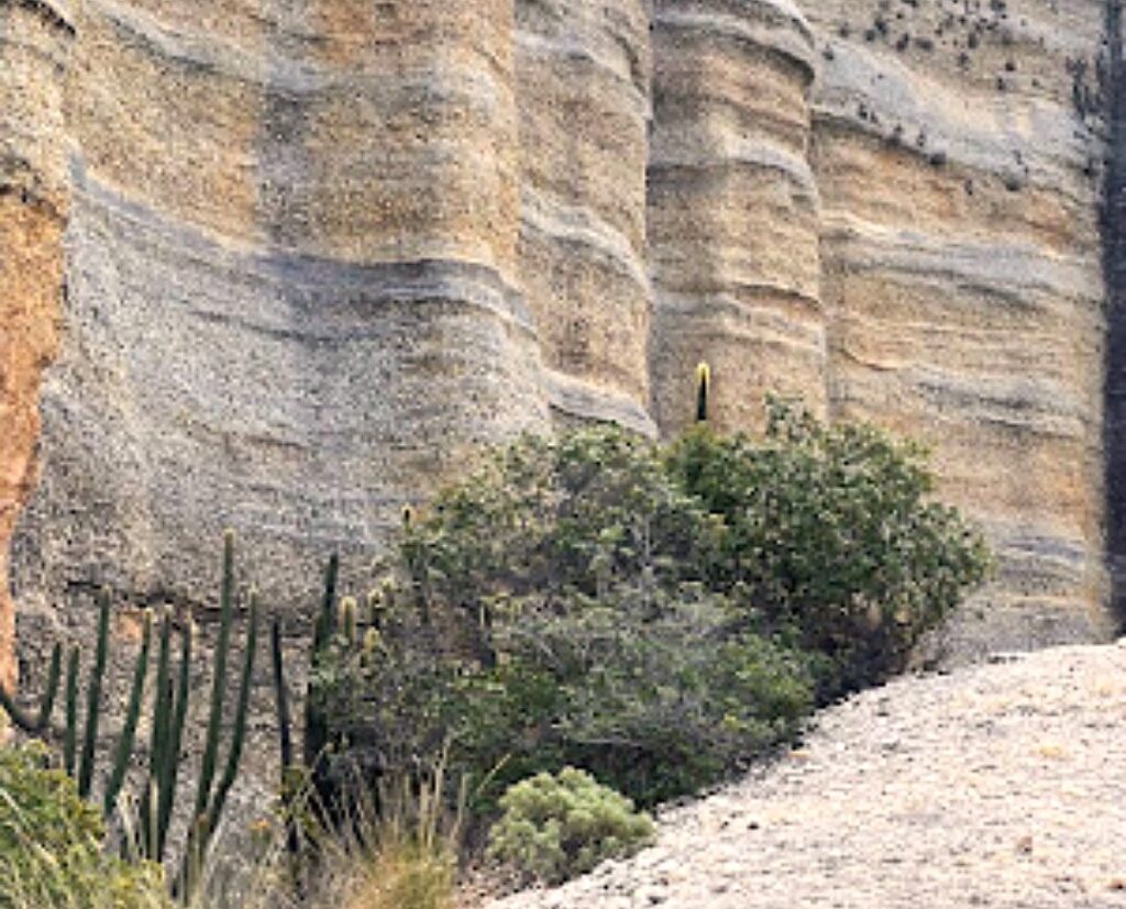 Vegetação de caatinga no pé de um super paredão rochoso