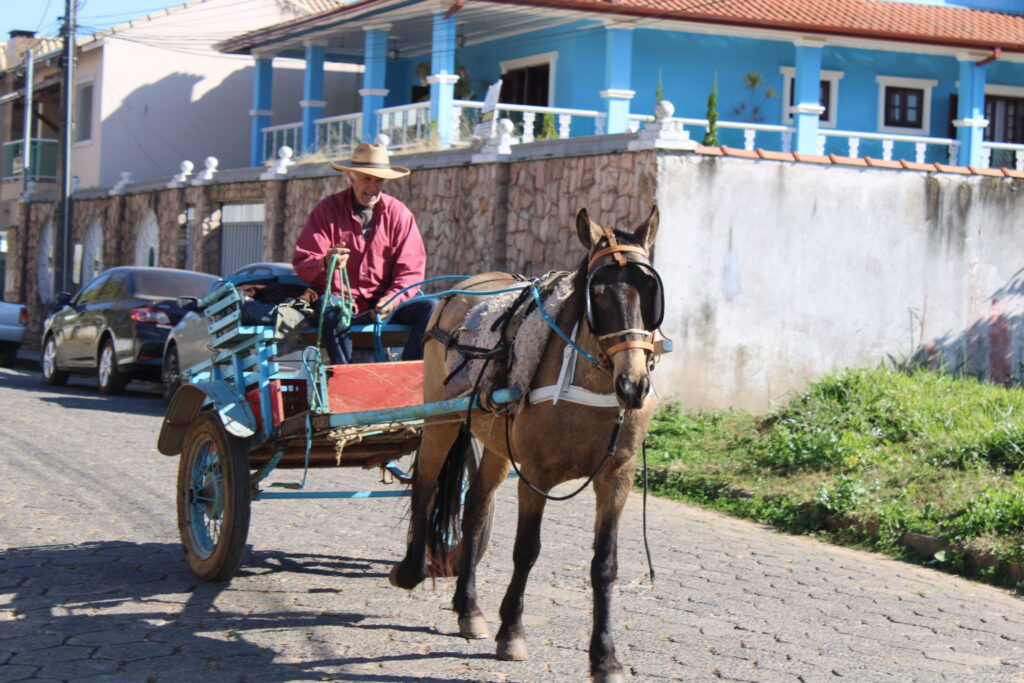 Vida sossegada em Maria da Fé