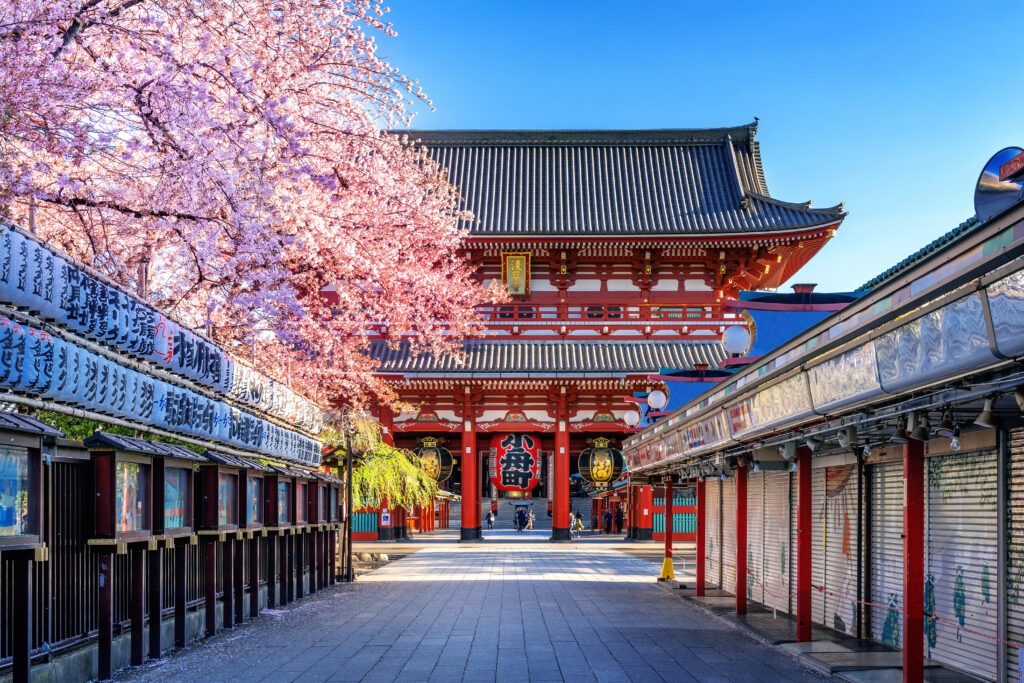 Japão bate recorde com mais de 3,9 milhões de visitantes estrangeiros em abril 1 cherry blossoms sensoji temple asakusa tokyo japan Japão bate recorde com mais de 3,9 milhões de visitantes estrangeiros em abril