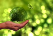 Metade das empresas paulistas acredita que COP30 vai influenciar suas ações ambientais