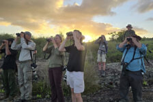 Embratur e Sebrae promovem famtour na Bahia para operadores de birdwatching britânicos