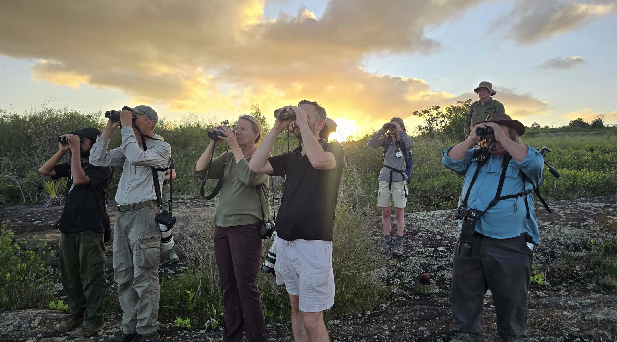 unnamed 54 Embratur e Sebrae promovem famtour na Bahia para operadores de birdwatching britânicos