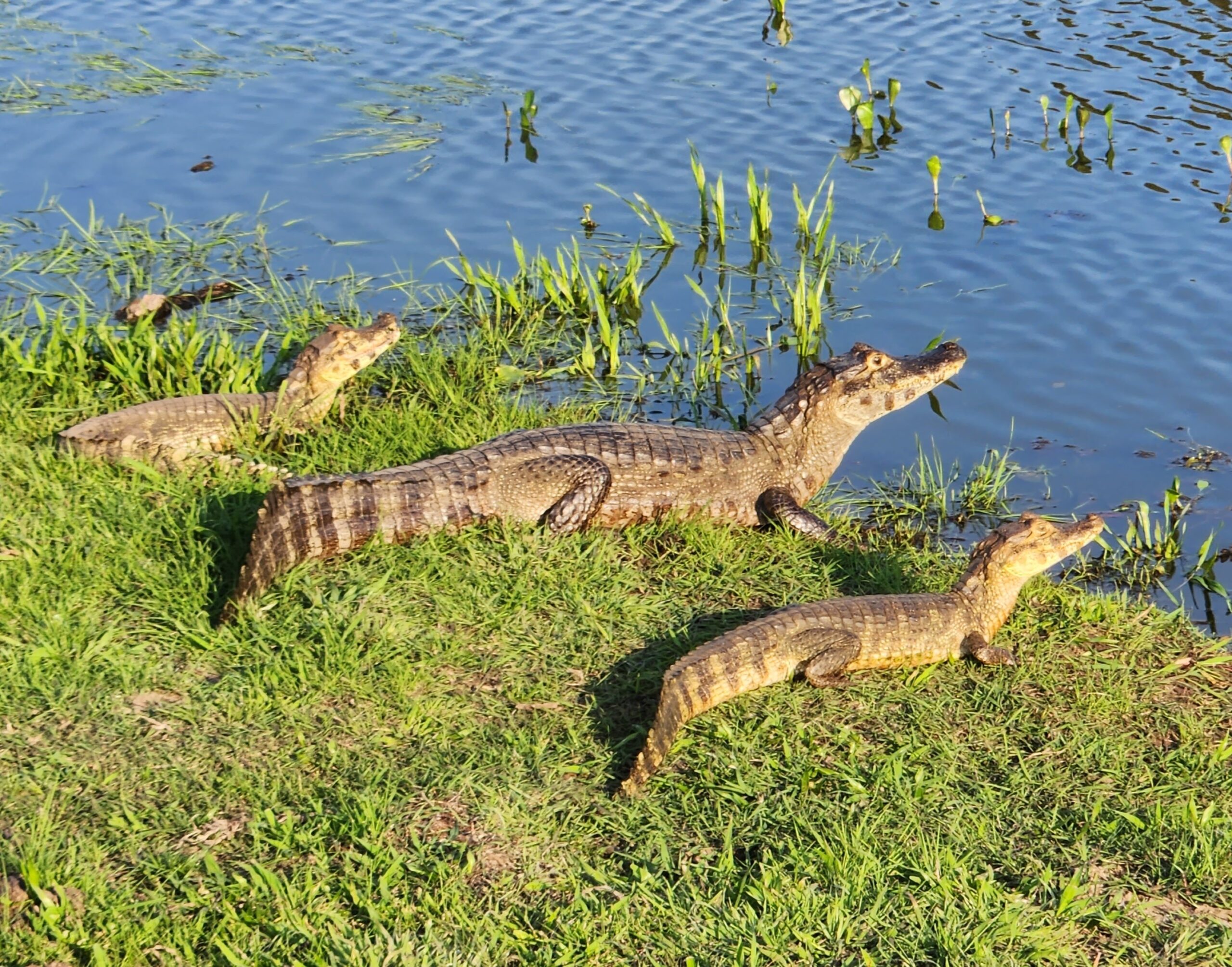 Turismo cresce em Mato Grosso do Sul e impulsiona economia regional 1 20221003 161913 1 scaled Turismo cresce em Mato Grosso do Sul e impulsiona economia regional