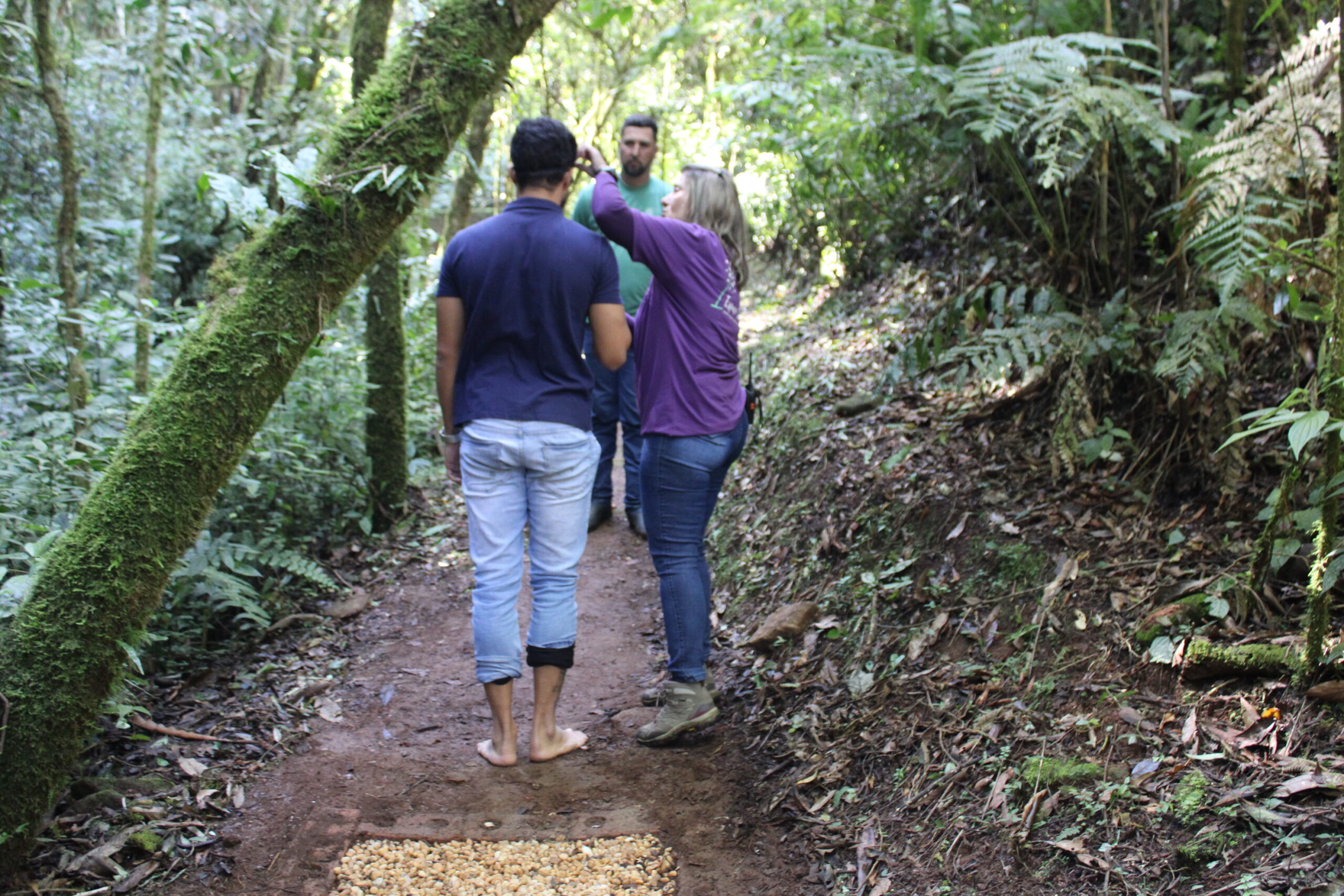 Delfim Moreira, um paraíso de múltiplas experiências turísticas na Serra da Mantiqueira 4 4 Caminhada as cegas no Jardim Sensorial 1 scaled 1 Delfim Moreira, um paraíso de múltiplas experiências turísticas na Serra da Mantiqueira