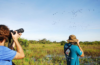 MTur divulga resultado de edital para mapeamento do Turismo de Observação de Aves