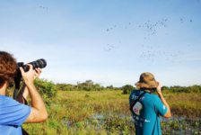 MTur divulga resultado de edital para mapeamento do Turismo de Observação de Aves