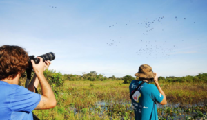 MTur divulga resultado de edital para mapeamento do Turismo de Observação de Aves