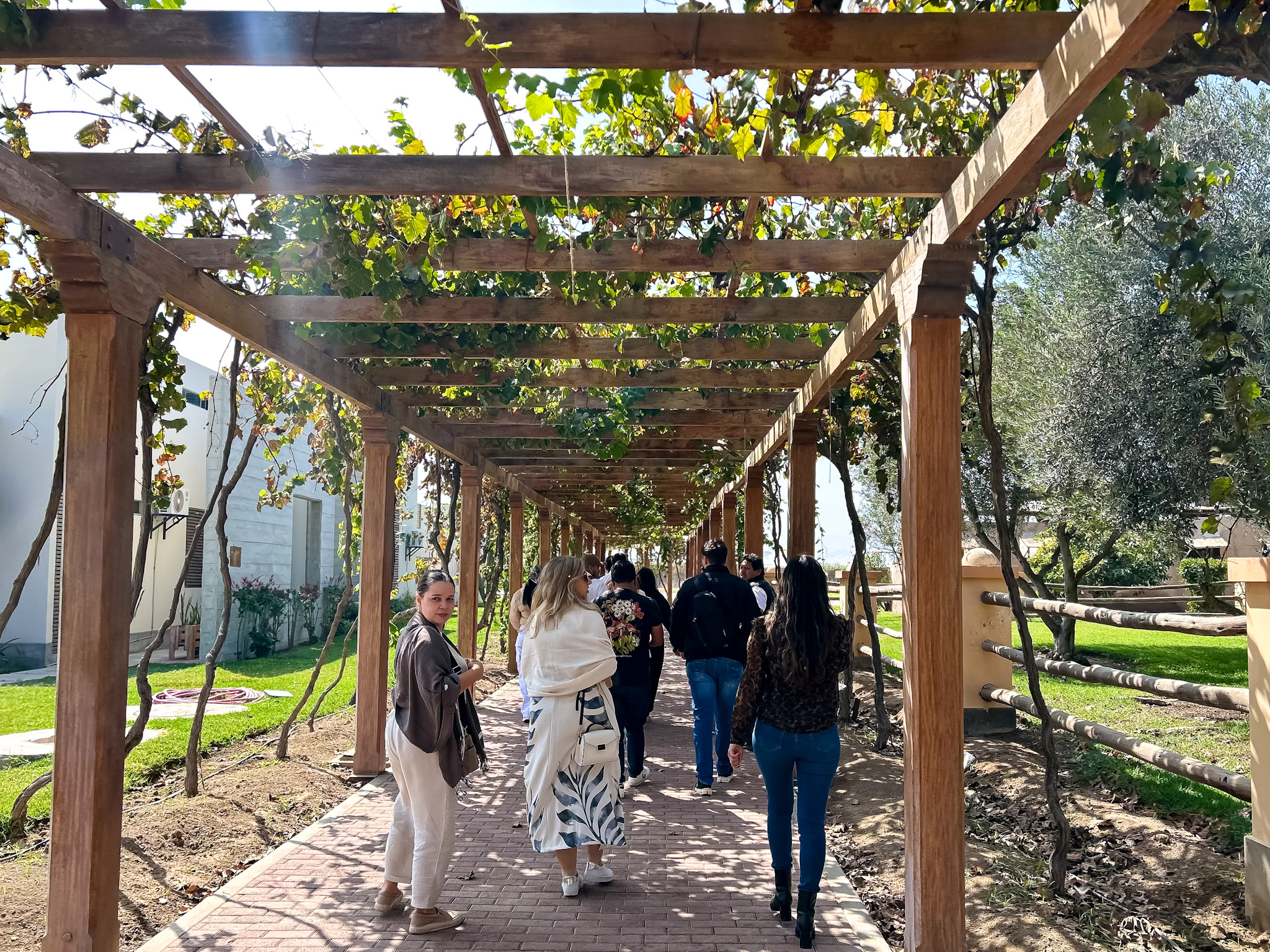A experiência na fazenda contou com um tour guiado sobre o pisco A experiência na fazenda contou com um tour guiado sobre o pisco