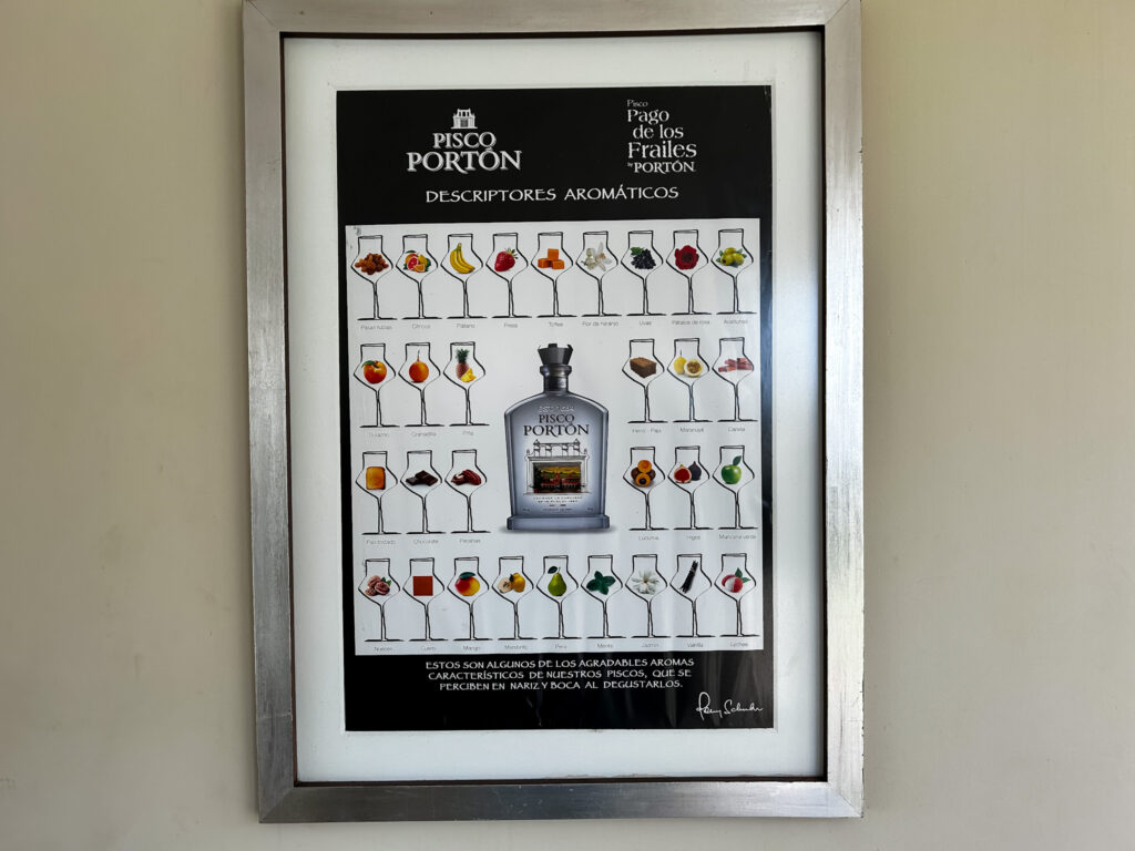 A marca Pisco Porton possui diversos rótulos premiados e uma grande variedade de sabores e combinações