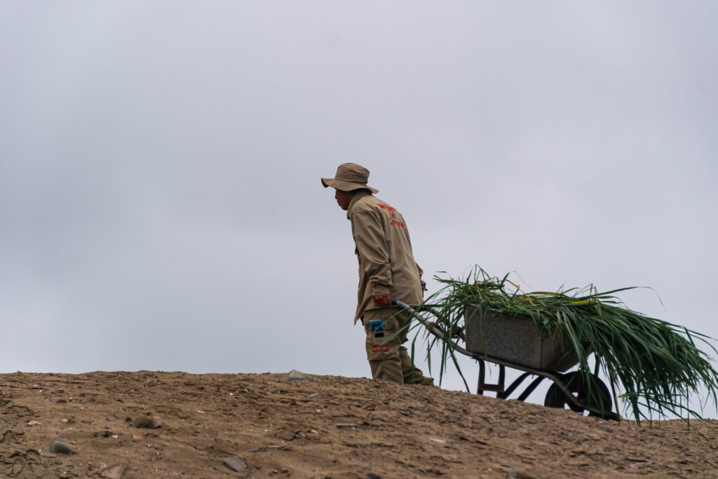 Embora seja uma área desértica, o sistema de irrigação permite que cresça grama e vegetação