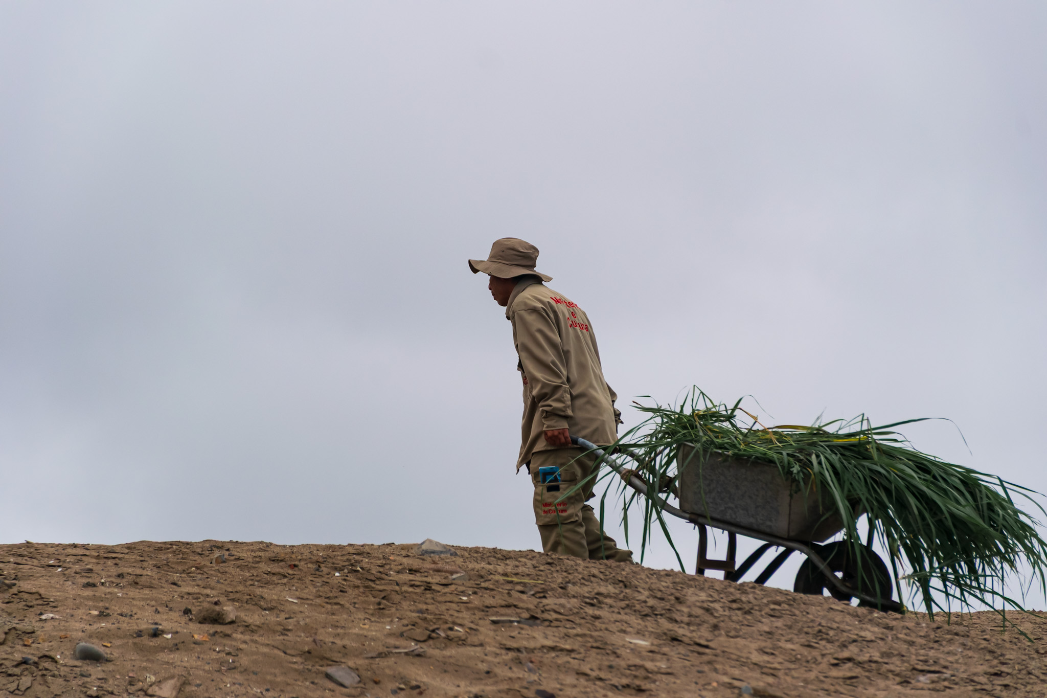 Embora seja uma área desértica, o sistema de irrigação permite que cresça grama e vegetação Embora seja uma área desértica, o sistema de irrigação permite que cresça grama e vegetação