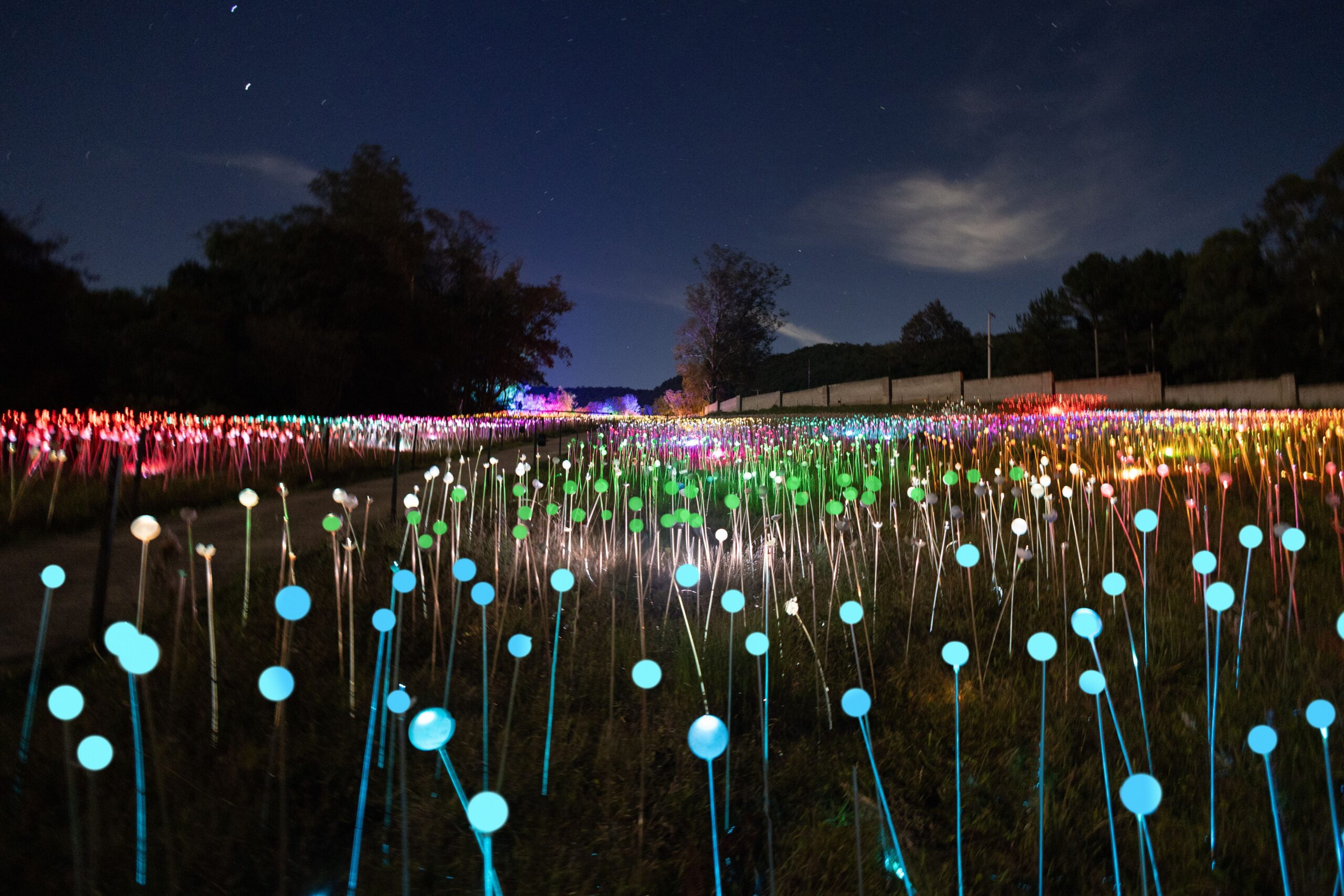 Parque de Luzes, Lumni Gramado, abre ao público, neste sábado (7) 1 Foto Lumni.campo de luzes.alta scaled Parque de Luzes, Lumni Gramado, abre ao público, neste sábado (7)