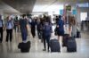 Urso invade aeroporto no Japão, causa caos nos voos e fecha pista por um dia inteiro