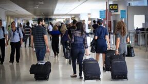 Urso invade aeroporto no Japão, causa caos nos voos e fecha pista por um dia inteiro