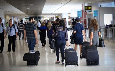 Urso invade aeroporto no Japão, causa caos nos voos e fecha pista por um dia inteiro
