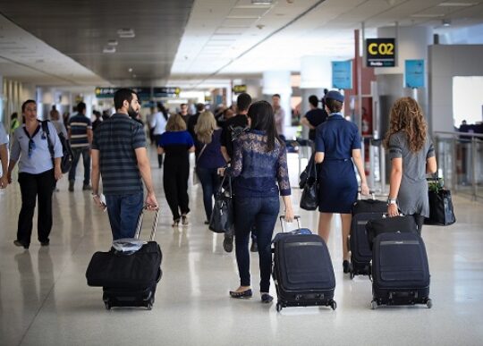 Urso invade aeroporto no Japão, causa caos nos voos e fecha pista por um dia inteiro
