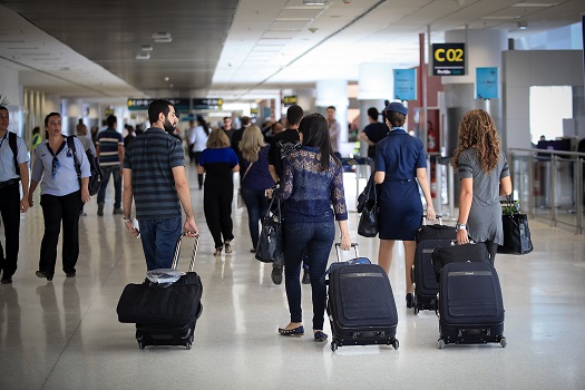 Urso invade aeroporto no Japão, causa caos nos voos e fecha pista por um dia inteiro 1 Movimento em aeroporto Urso invade aeroporto no Japão, causa caos nos voos e fecha pista por um dia inteiro