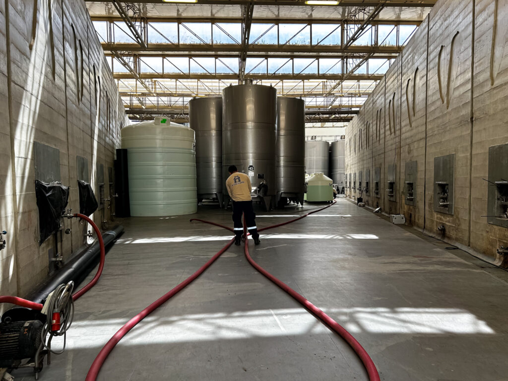 Tanque de armazenamento do pisco para maturação