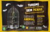 Amazonastur reforça campanha “Turismo sem Penas” para prevenir uso ilegal de penas naturais