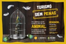 Amazonastur reforça campanha “Turismo sem Penas” para prevenir uso ilegal de penas naturais