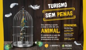 Amazonastur reforça campanha “Turismo sem Penas” para prevenir uso ilegal de penas naturais