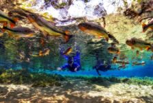 Bonito tem o melhor movimento de turistas de maio em 15 anos