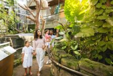 Novidades 2025 em Dubai começam com o Dubai Summer Surprises, shows e muita diversão