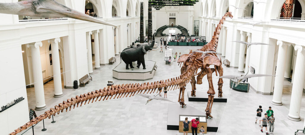 10 atrações imperdíveis em Chicago para explorar durante o IPW 2025 (e além) 1 Chicago